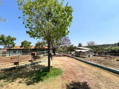 Fazenda/Sítio com 3 Quartos à venda, 800m² no Bairro dos Pires, Limeira