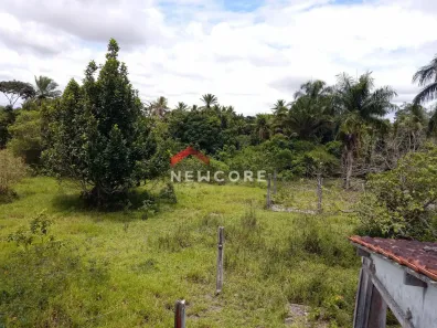 Fazenda/Sítio com 3 Quartos à venda, 8950m² no , Amélia Rodrigues