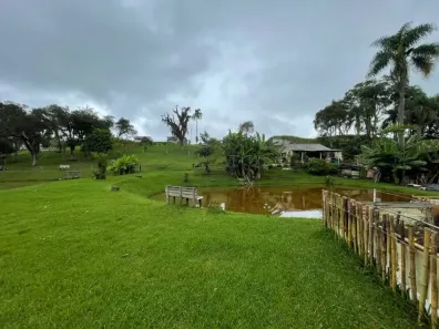 Lote/Terreno à venda, 7000m² no Santo Antônio, São José dos Pinhais