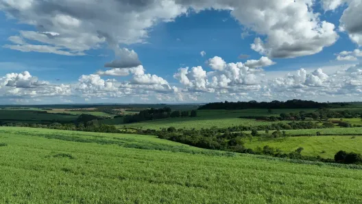 Fazenda/Sítio à venda, 2310000m² no Área Rural de Franca, Franca