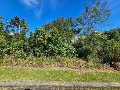 Lote/Terreno à venda, 486m² no Roçado, São José