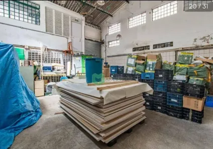 Galpão/Depósito/Armazém para alugar, 600m² no Vila Ipojuca, São Paulo