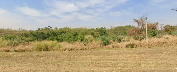 Lote/Terreno à venda, 37556m² no Adelino Simioni, Ribeirão Preto