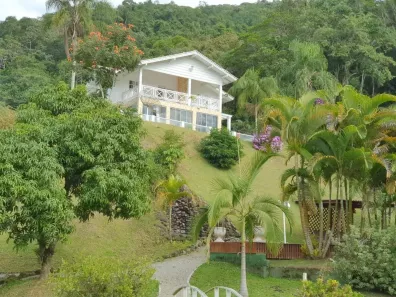 Fazenda/Sítio com 4 Quartos à venda, 70000m² no , Santo Amaro da Imperatriz
