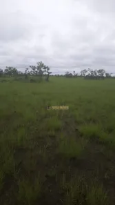 Fazenda/Sítio com 1 Quarto à venda, 1m² no , Cocalinho