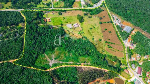 Fazenda/Sítio com 7 Quartos à venda, 700m² no Guarani, Colombo