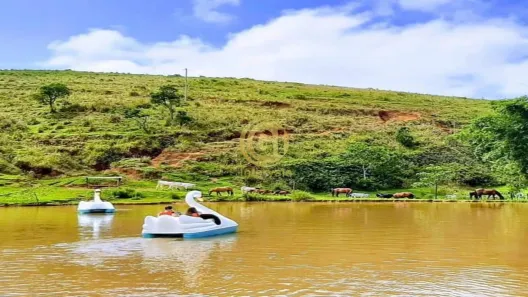 Fazenda/Sítio com 2 Quartos à venda, 5000m² no Buquirinha, São José dos Campos