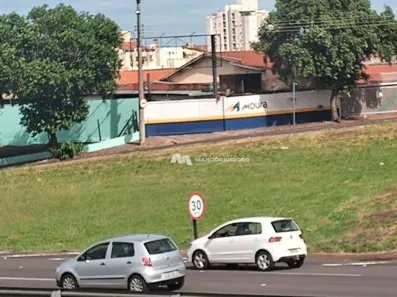 Lote/Terreno à venda, 305m² no Jardim Primavera, São José do Rio Preto