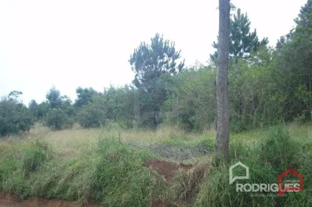 Lote/Terreno à venda, 360m² no Campestre, São Leopoldo