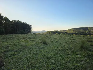 Fazenda/Sítio à venda, 447700m² no Área Rural de São Miguel Arcanjo, São Miguel Arcanjo