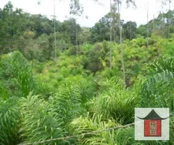 Lote/Terreno à venda, 300000m² no , Jacupiranga