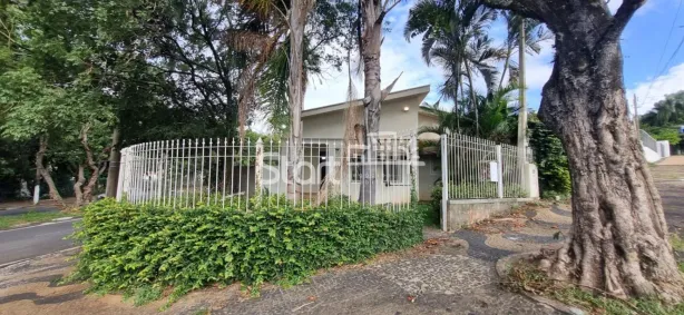 Casa com 2 Quartos para alugar, 197m² no Jardim Chapadão, Campinas