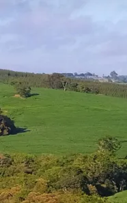 Fazenda/Sítio com 1 Quarto à venda, 1m² no , São Miguel Arcanjo