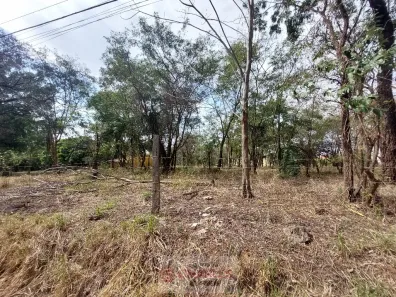 Fazenda/Sítio à venda, 10m² no Planalto Bela Vista, Mogi Mirim