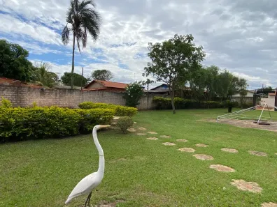 Fazenda/Sítio com 2 Quartos à venda, 1184m² no Setor Central, Bela Vista de Goiás