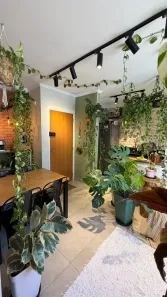 Apartamento com 2 Quartos à venda, 45m² no Bicanga, Serra