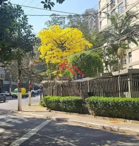 Apartamento com 3 Quartos à venda, 79m² no Vila Andrade, São Paulo