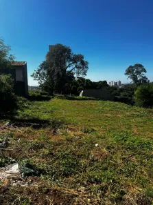 Lote/Terreno à venda, 585m² no Catharina Zanaga, Americana
