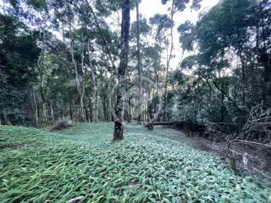 Lote/Terreno à venda, 5025m² no Cascata dos Amores, Teresópolis