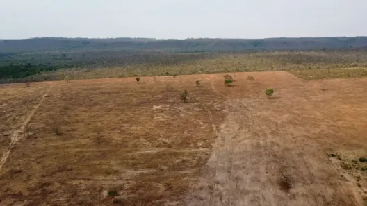 Fazenda/Sítio à venda, 1600m² no , Santo Antônio do Leste