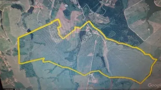 Fazenda/Sítio à venda, 919600m² no Área Rural de Itapira, Itapira
