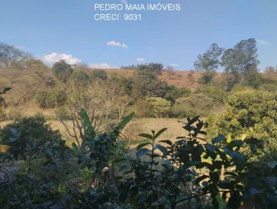 Fazenda/Sítio com 3 Quartos à venda, 170m² no Centro, São José da Lapa