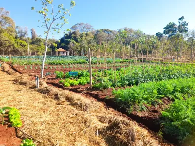 Lote/Terreno à venda, 2032m² no , Santo Antônio de Goiás