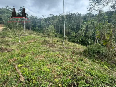 Fazenda/Sítio à venda, 5000m² no Área Rural de Antônio Carlos, Antônio Carlos