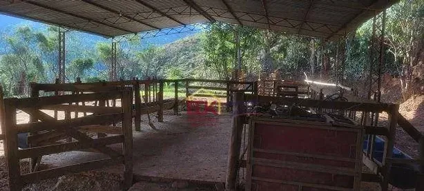 Fazenda/Sítio com 3 Quartos à venda, 750m² no Centro, Potim