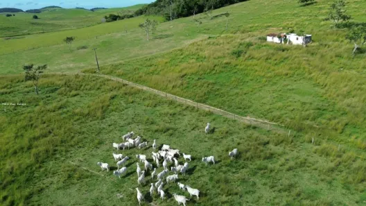 Fazenda/Sítio com 3 Quartos à venda, 242000m² no , Rio Bonito