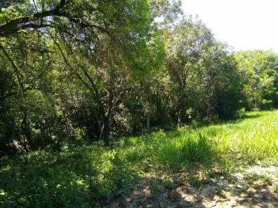 Lote/Terreno à venda, 9000m² no Jundiaquara, Araçoiaba da Serra