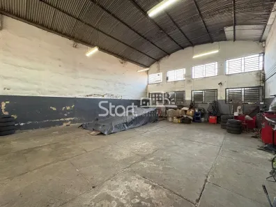 Galpão/Depósito/Armazém para alugar, 250m² no Vila Paraíso, Campinas