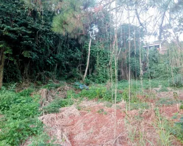 Lote/Terreno à venda, 541m² no Forquilhinha, São José