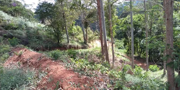 Fazenda/Sítio à venda, 30000m² no Centro, Marechal Floriano