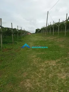 Lote/Terreno à venda, 13000m² no Poste, Jundiaí