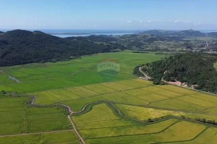 à venda, 959300m² no Centro, Imaruí