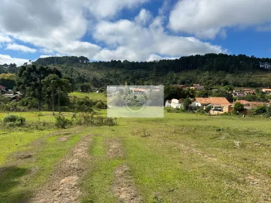 Lote/Terreno à venda, 60000m² no Centro, Campo Alegre
