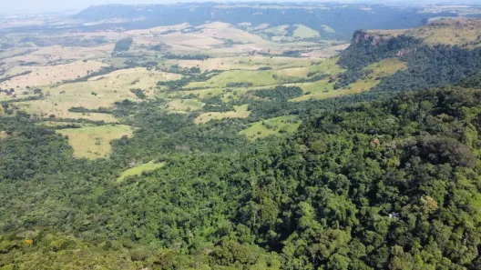 Fazenda/Sítio à venda, 181197m² no , Itirapina