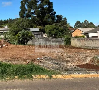 Lote/Terreno à venda, 450m² no Cará-cará, Ponta Grossa