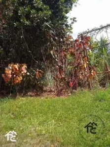 Lote/Terreno à venda, 29750m² no Itaipu, Niterói