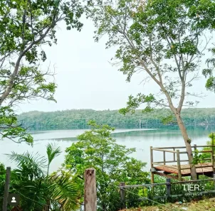 Fazenda/Sítio com 1 Quarto à venda, 2m² no , Barrolândia