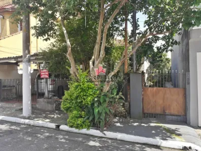 Lote/Terreno à venda, 200m² no Vila Beatriz, São Paulo