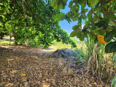 Lote/Terreno à venda, 2500m² no Fazenda Castelo, Boituva