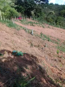 Fazenda/Sítio à venda, 20000m² no Bom Sucesso, Pindamonhangaba