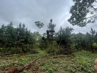 à venda, 26000m² no Parque Recanto Mônica, Itaquaquecetuba