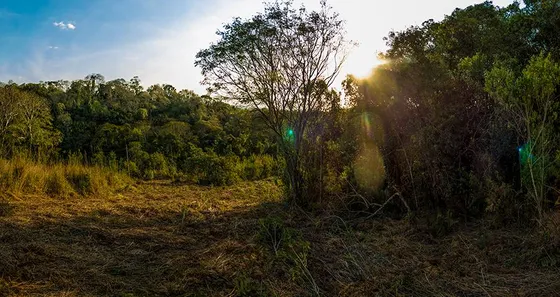 Lote/Terreno à venda, 3692m² no Centro, Piedade