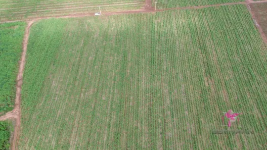 Lote/Terreno à venda, 18167m² no Vila São Guido, Pirassununga