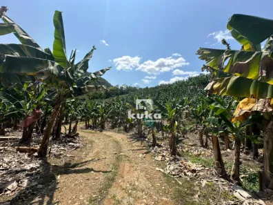 Lote/Terreno à venda, 56912m² no Caminho Pequeno, Corupá