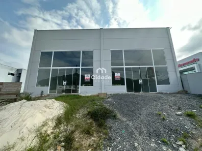 Galpão/Depósito/Armazém para alugar, 250m² no Amizade, Jaraguá do Sul