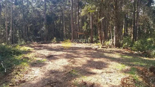 Fazenda/Sítio com 1 Quarto à venda, 10m² no Campo Alegre, Campo Alegre